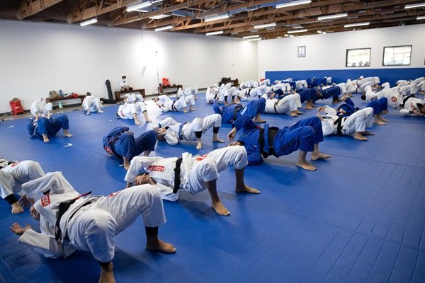 Gracie Barra Santa Ana: Which one of our programs is ideal for a total beginner | Phone: +1 (714) 925-9393 Gracie Barra Santa Ana: Which one of our programs is ideal for a total beginner | Phone: +1 (714) 925-9393